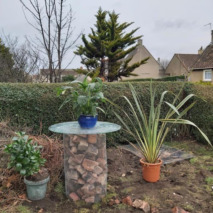White House In Edinburgh, 2 Bedroom Good Location Ngoại thất bức ảnh